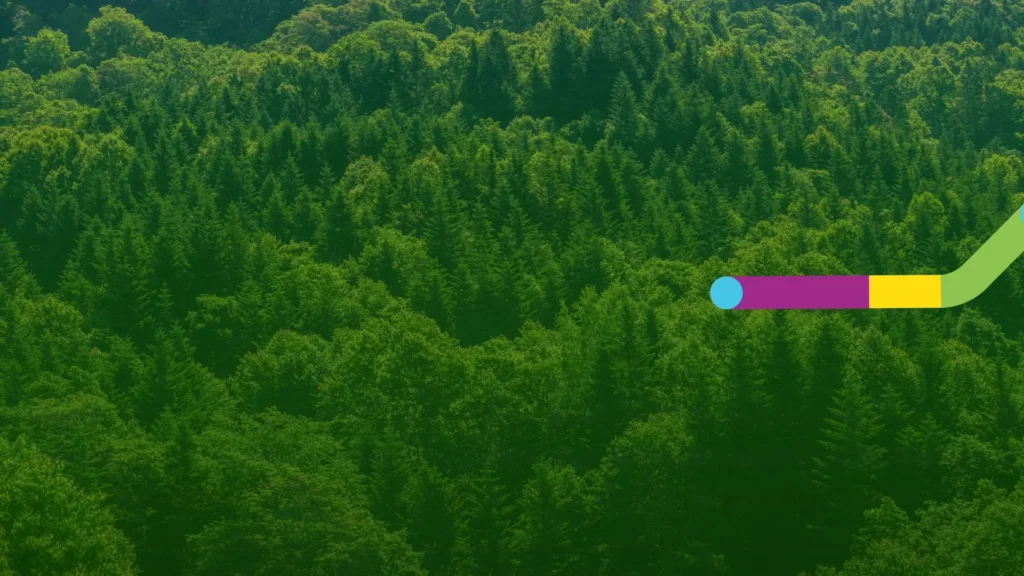 EUDR compliance guide for deforestation-free commodity supply chains
